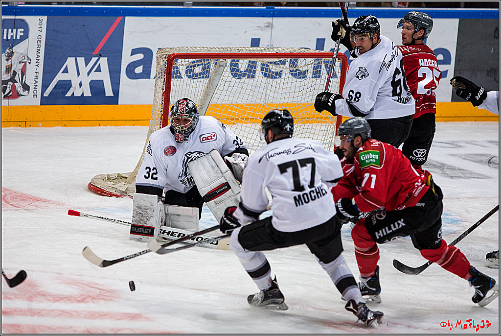 Koelner Haie - Nuernberger Ice Tiger, 04.12.2016